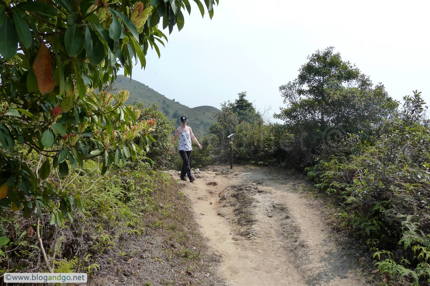 Maclehose Trail 3 - Distance post M52